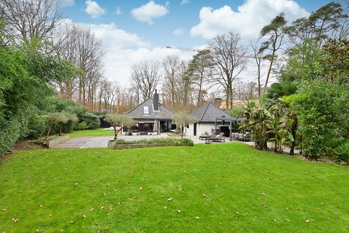 Photo 23 of Oranje Nassaulaan 8