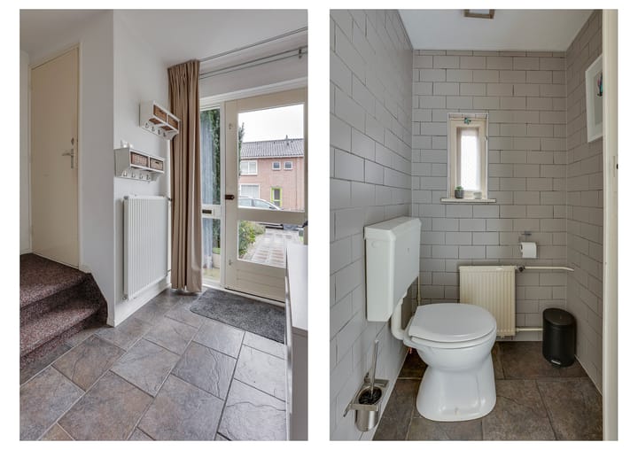 Foto 6 van Treubstraat 8