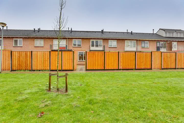 Foto 28 van Treubstraat 8