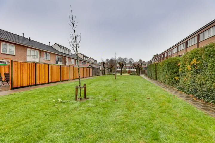 Foto 29 van Treubstraat 8