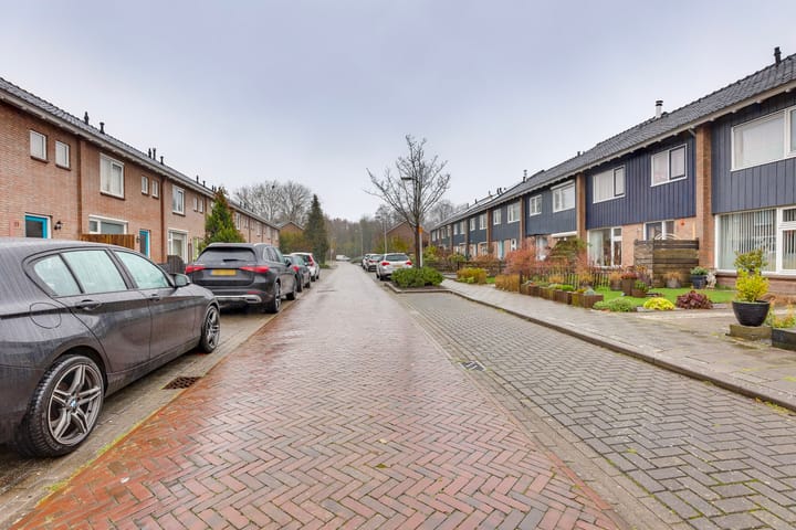 Foto 31 van Treubstraat 8