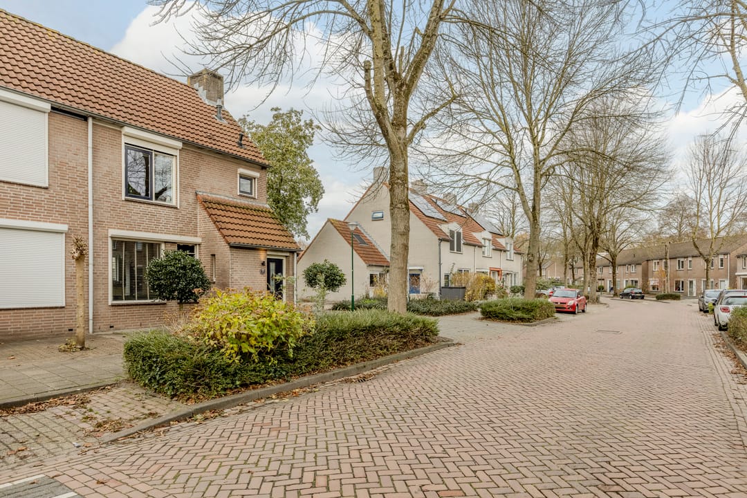 Photo 37 of Zaaren 156