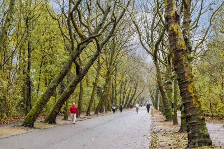 Photo 31 of Zocherstraat 15-3