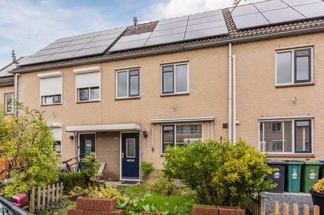 undefined main image