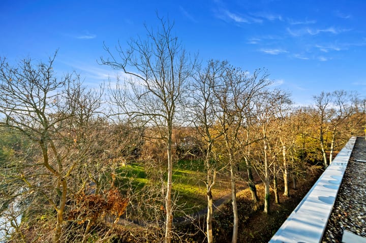 Foto 29 van Arentsburghlaan 120