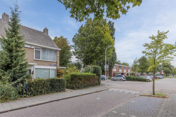 Photo 38 of Professor Hugo de Vriesstraat 2