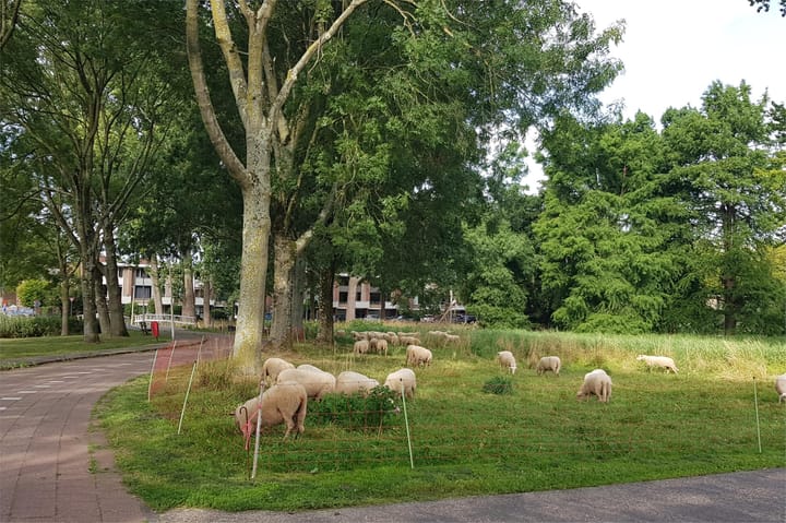 Photo 40 of Professor Hugo de Vriesstraat 2