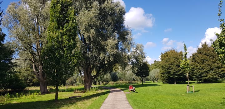 Photo 41 of Professor Hugo de Vriesstraat 2