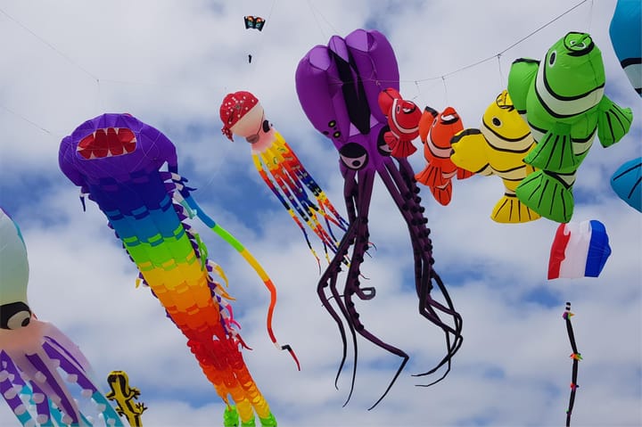 Photo 48 of Professor Hugo de Vriesstraat 2