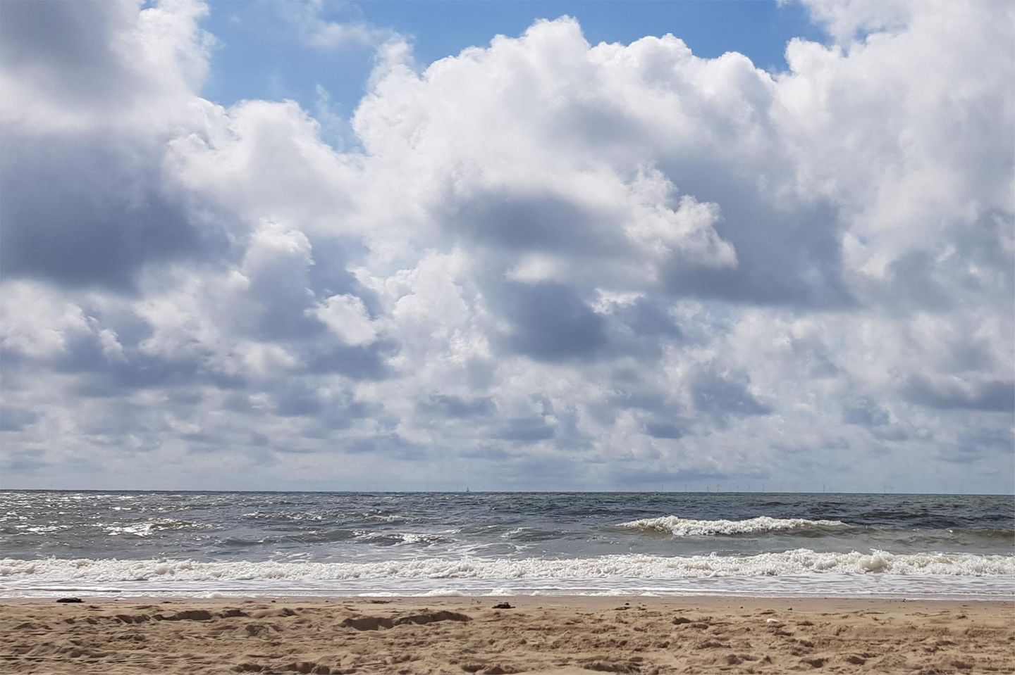 Foto 49 van Professor Hugo de Vriesstraat 2