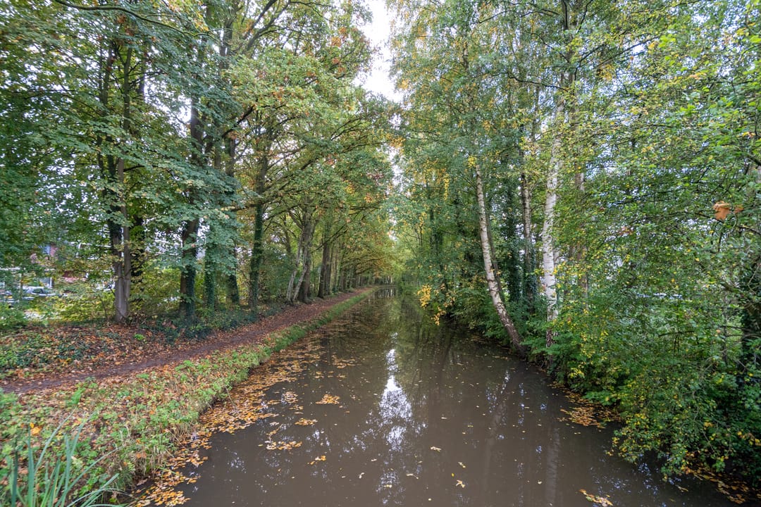 Photo 46 of Bruggertstraat 315