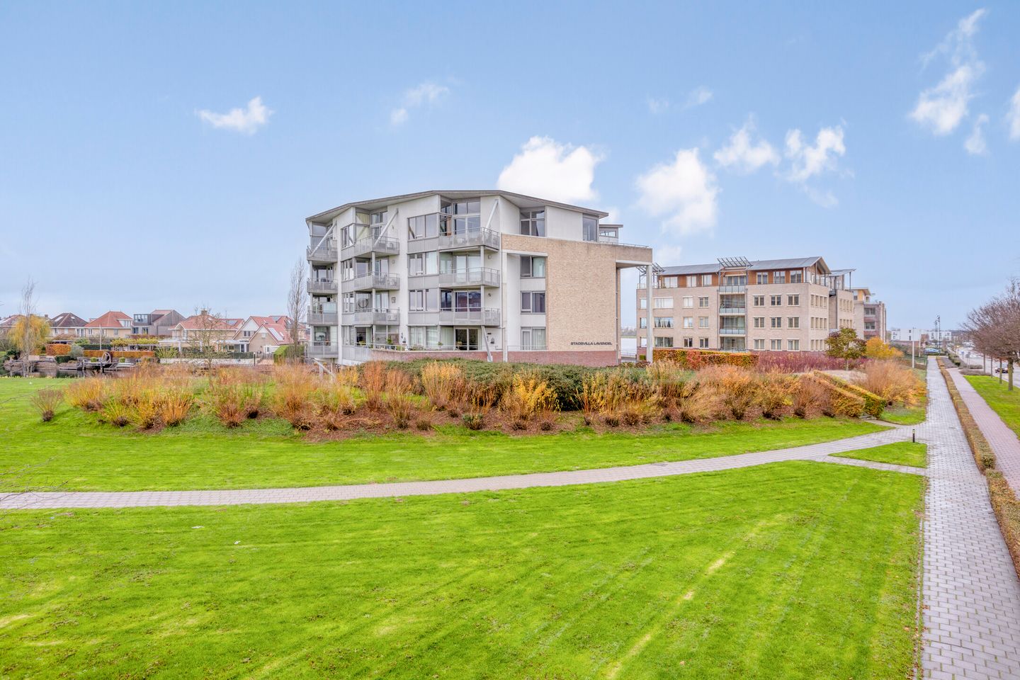 Foto 5 van Lavendel 469