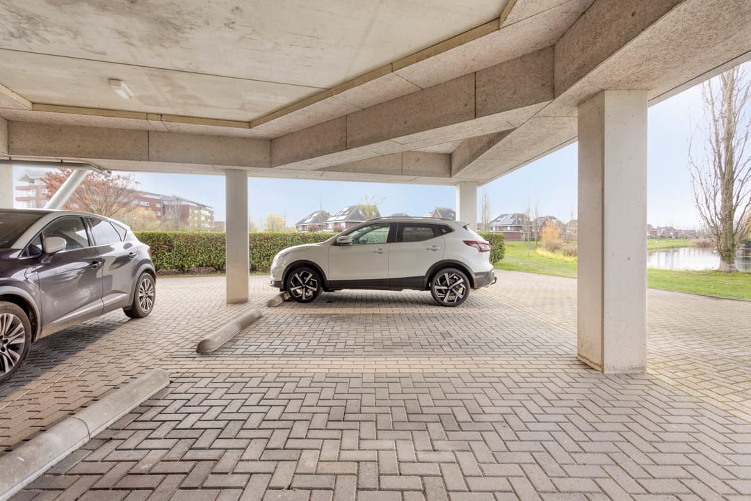 Foto 22 van Lavendel 469