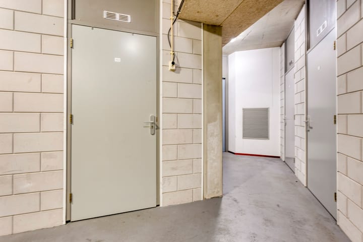 Photo 24 of Lavendel 469