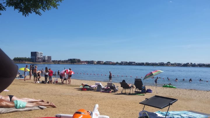 Photo 26 of Lavendel 469