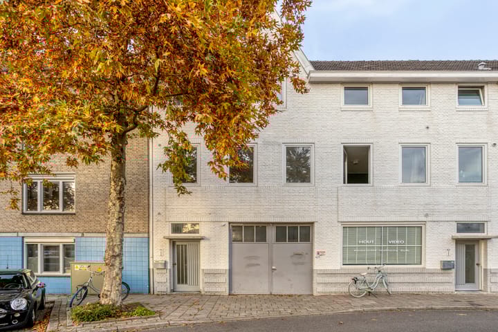 Foto 2 van Professor Moserstraat 42-B