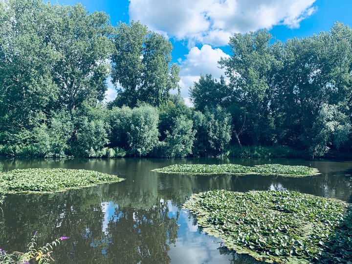 Foto 26 van Gaasterlandstraat 262