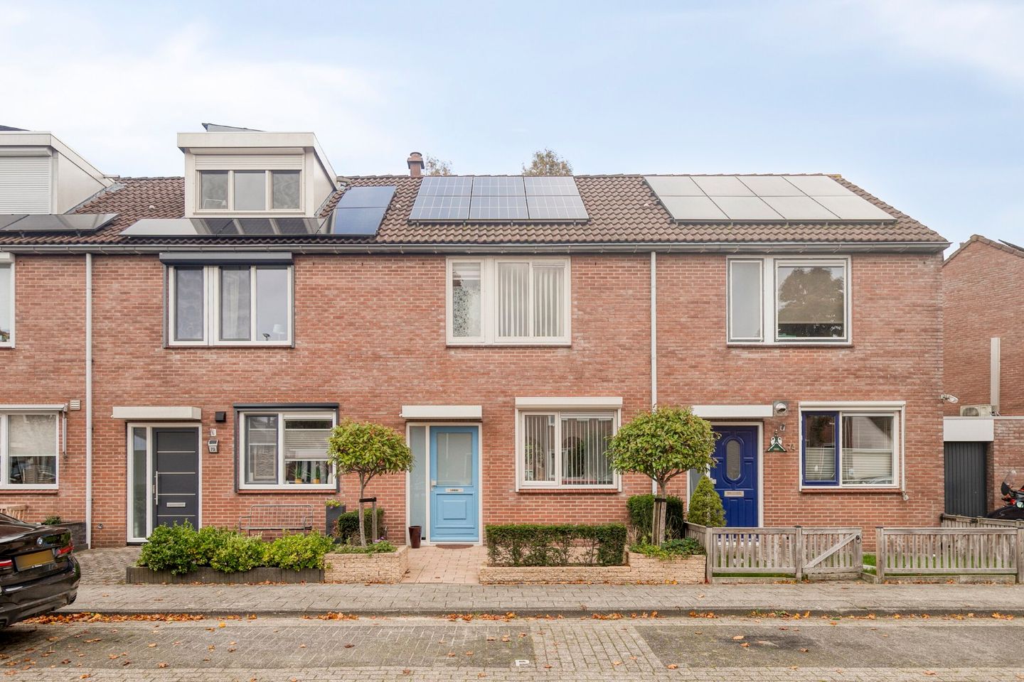 Foto 1 van Goudplevier 72