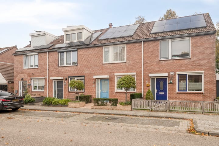 Foto 4 van Goudplevier 72