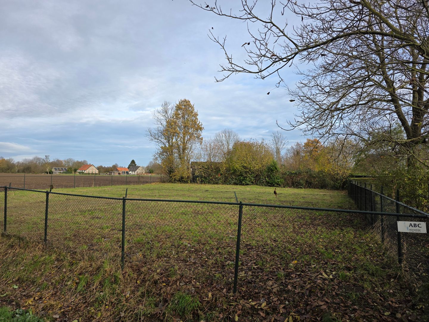 View photo 4 of Dries