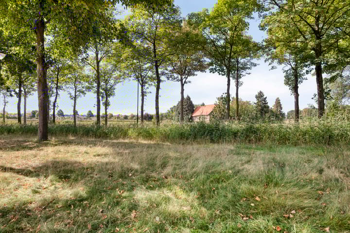 Photo 47 of Bochtakker 25