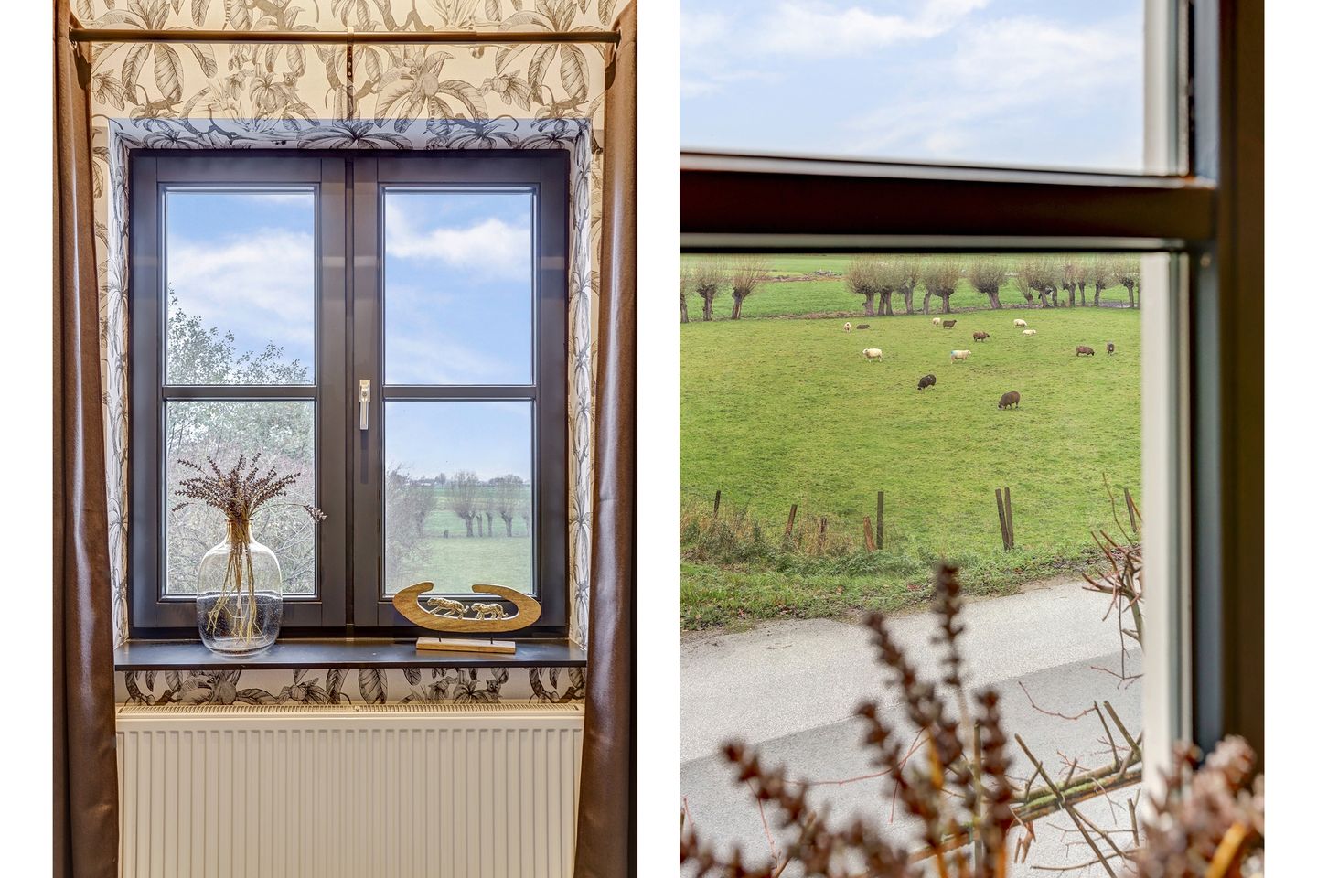 Foto 29 van Bazeldijk 58