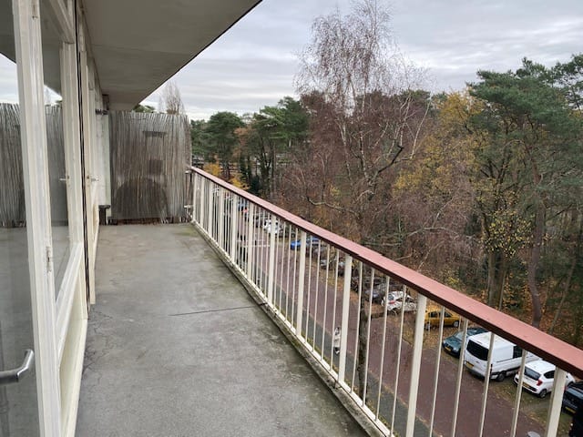 Foto 4 van Graaf Adolflaan 19-4