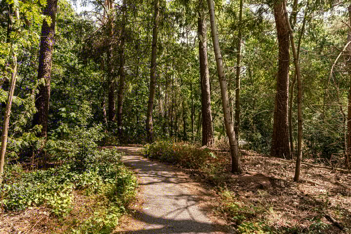 Foto 17 van Graaf Adolflaan 19-4