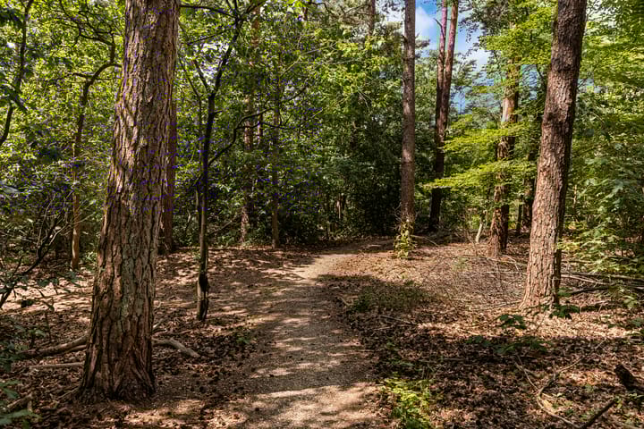 Foto 18 van Graaf Adolflaan 19-4