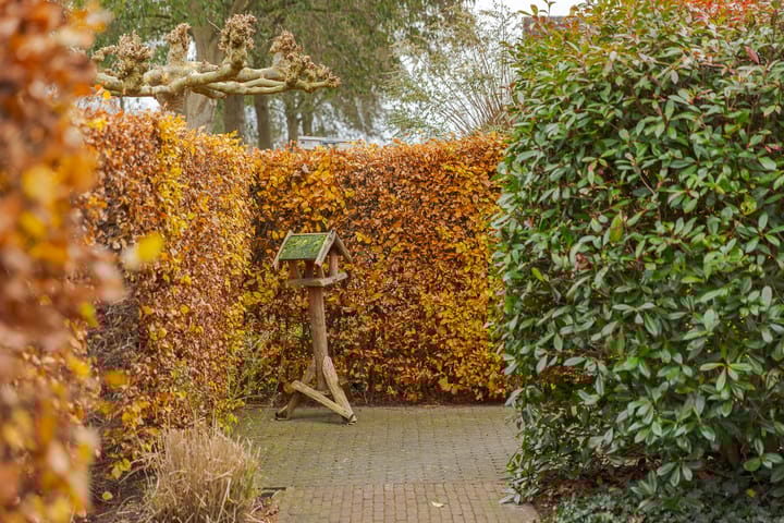 Foto 45 van De Snikke 11