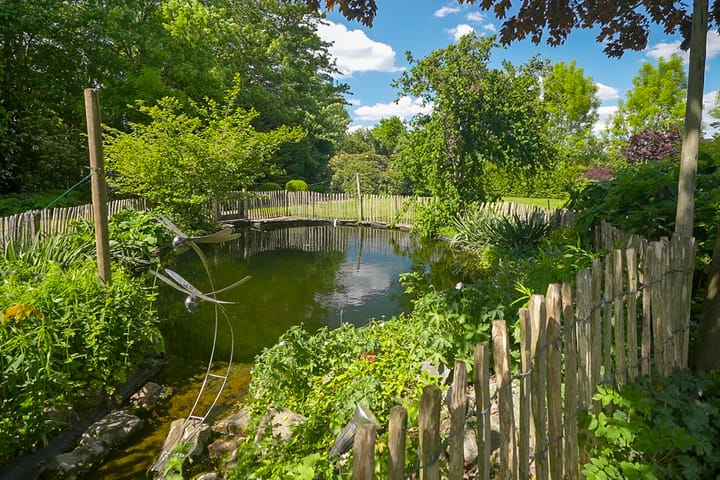 Photo 38 of Nachtdijk 1