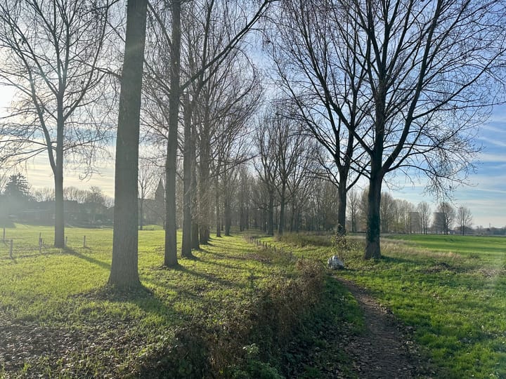 Foto 41 van Grotestraat 1