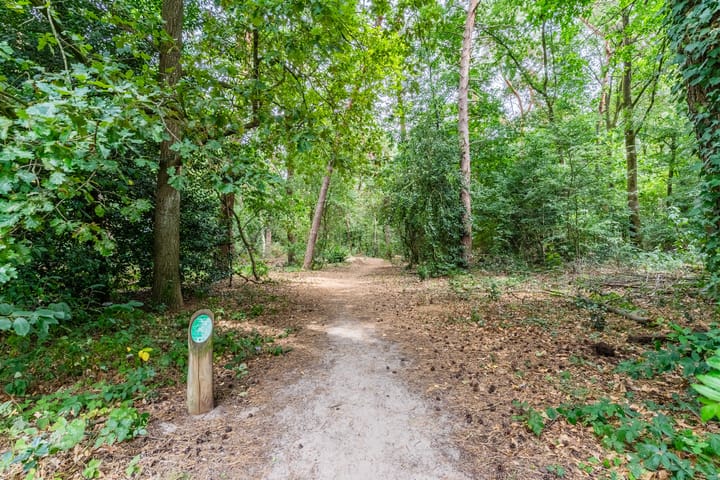 Foto 43 van Herdersveld 60