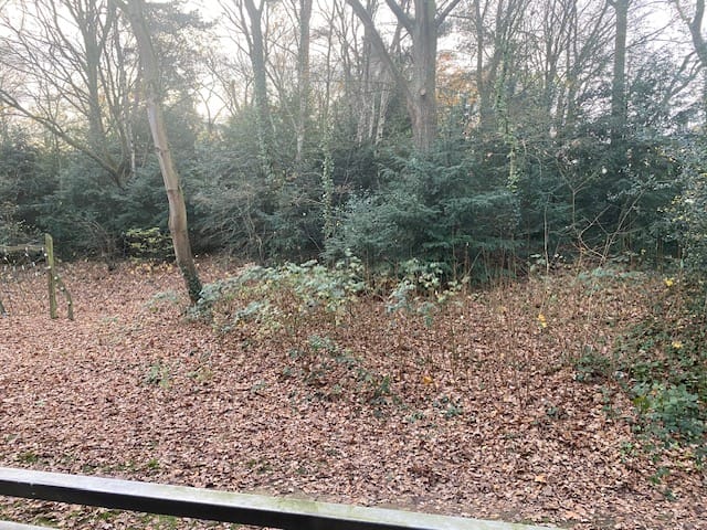 Foto 18 van Arnoldus Stramroodlaan 31