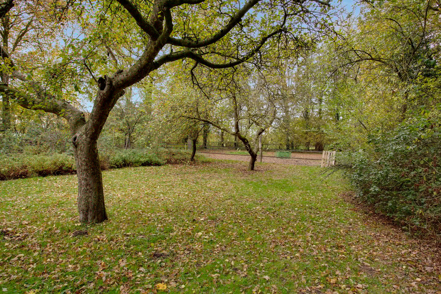 Foto 19 van Oude Postweg 31