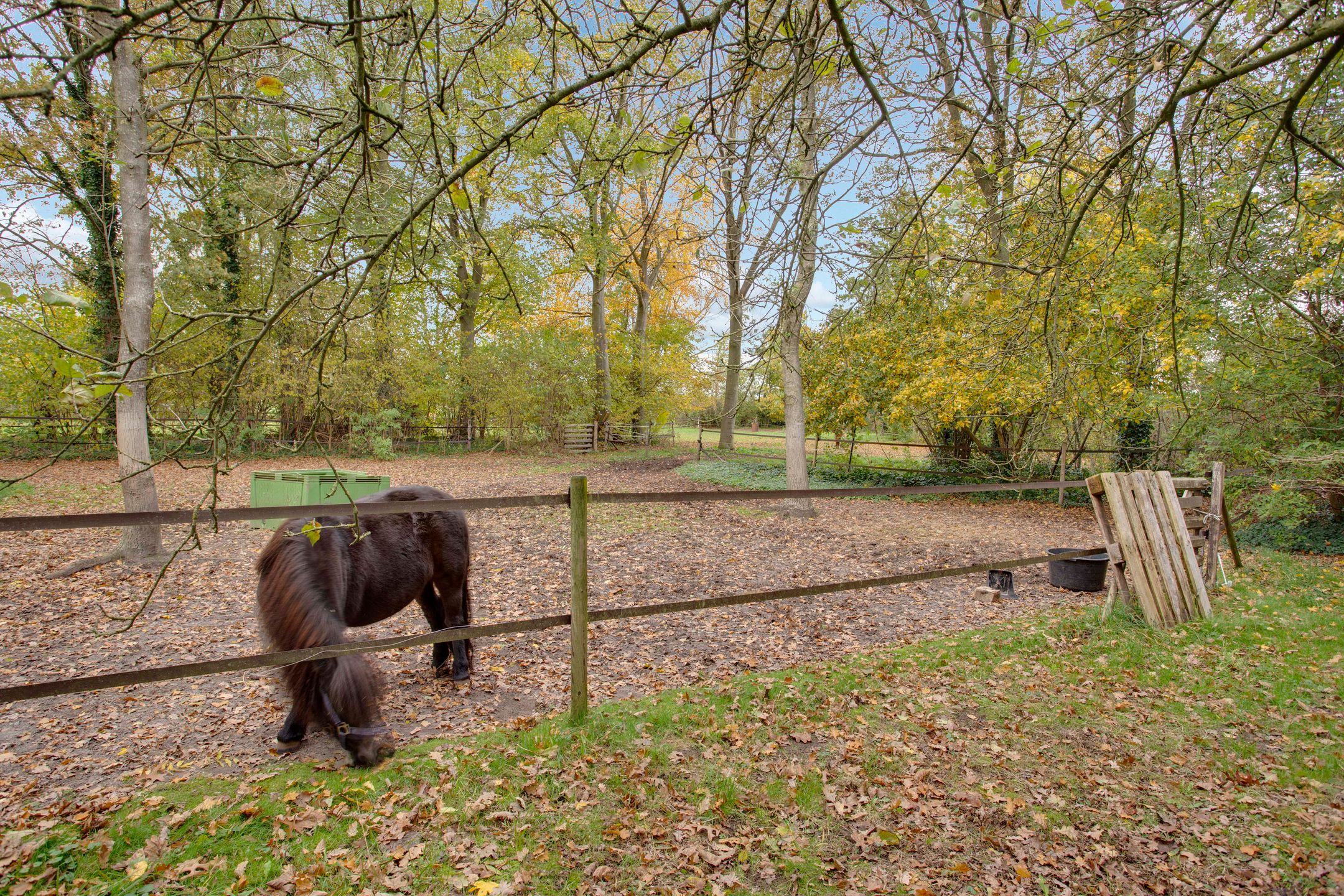 Foto 21 van Oude Postweg 31