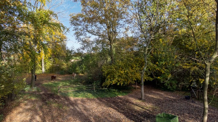 Photo 59 of Oude Postweg 31