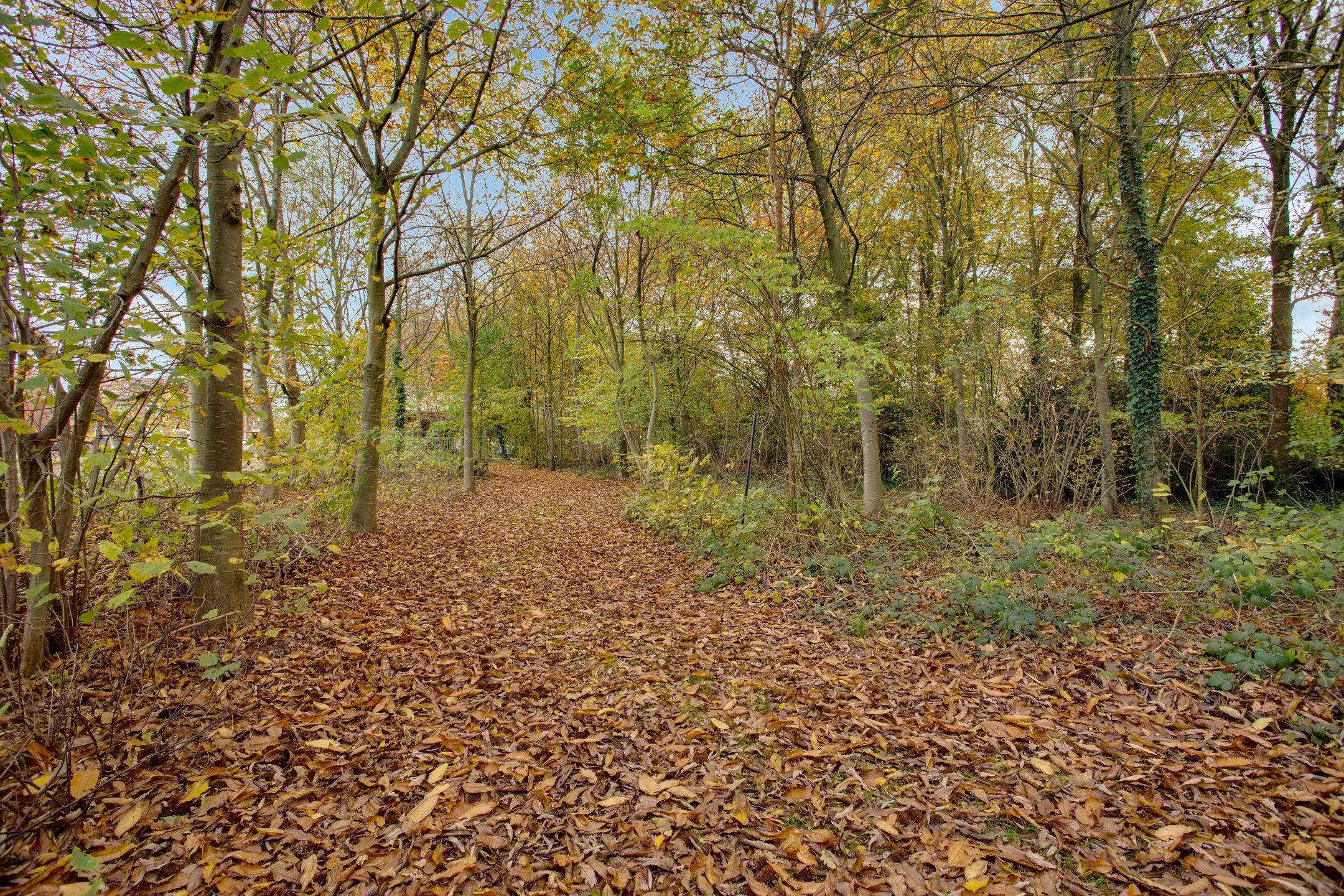 Foto 60 van Oude Postweg 31