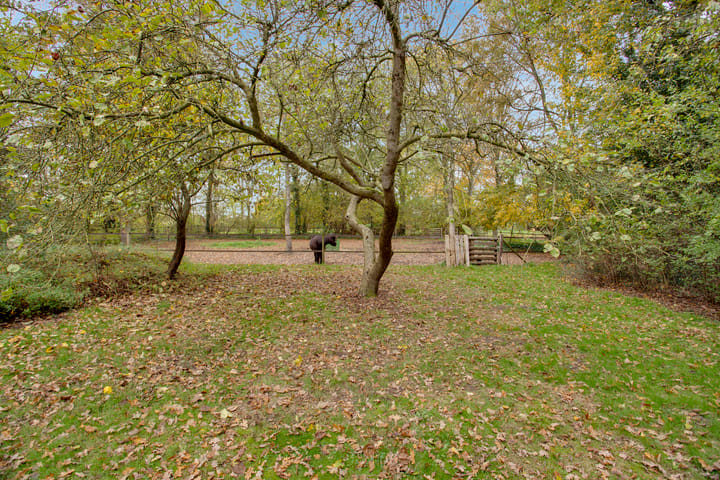 Photo 61 of Oude Postweg 31