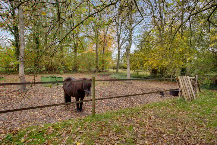 Photo 62 of Oude Postweg 31