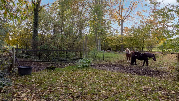 Photo 63 of Oude Postweg 31