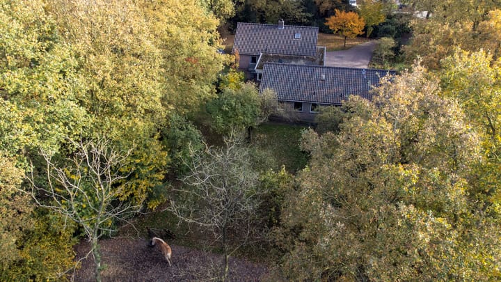 Photo 66 of Oude Postweg 31