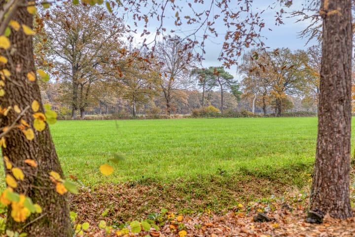 Foto 3 van Looërmark 23