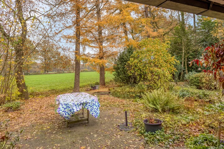 Foto 5 van Looërmark 23