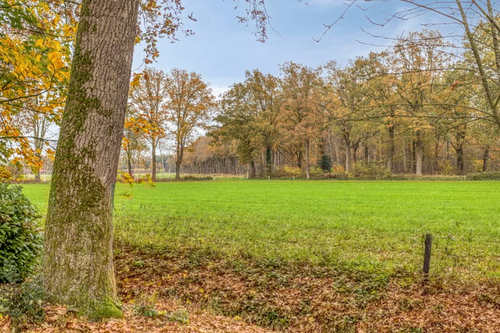 Foto 48 van Looërmark 23