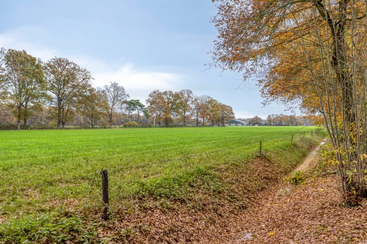 Foto 49 van Looërmark 23