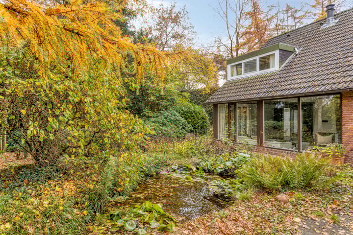 Foto 50 van Looërmark 23