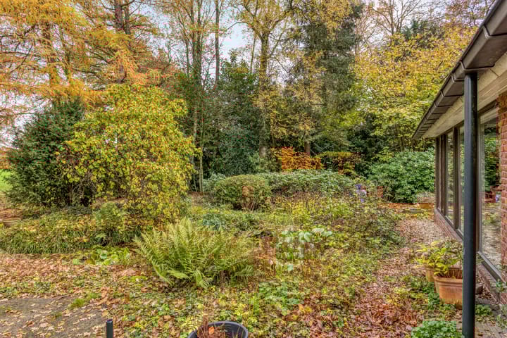 Foto 51 van Looërmark 23