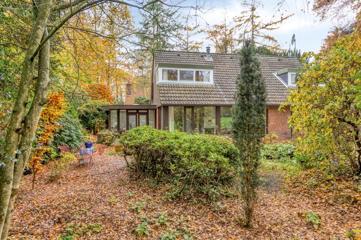 Foto 55 van Looërmark 23