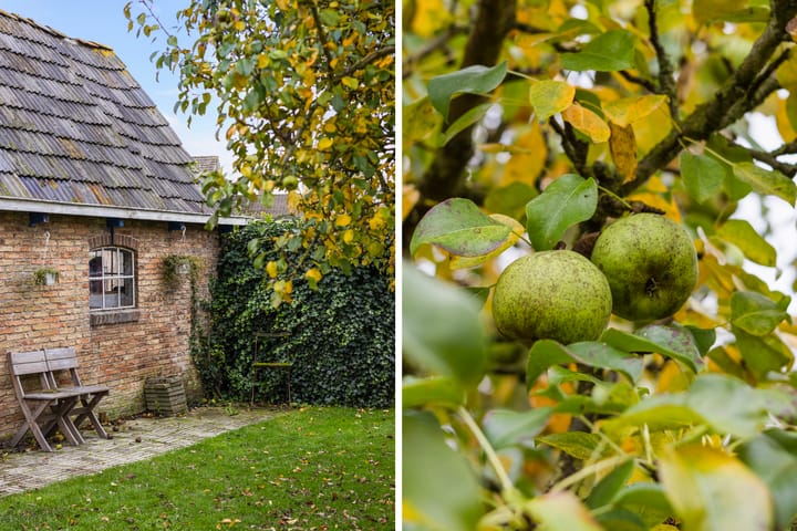 Foto 34 van Lieuwe Jellingastrjitte 37